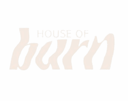 HouseOfBurn